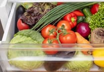 Organise your fridge effectively