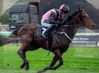 Trainers celebrate five wins