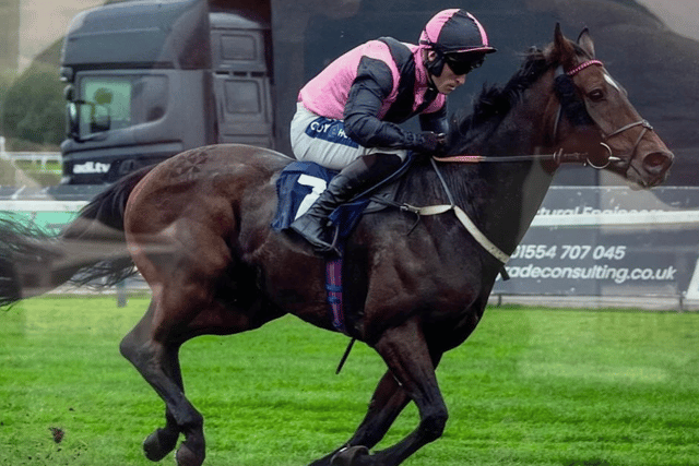 Trainers celebrate five wins