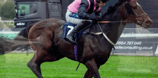 Trainers celebrate five wins