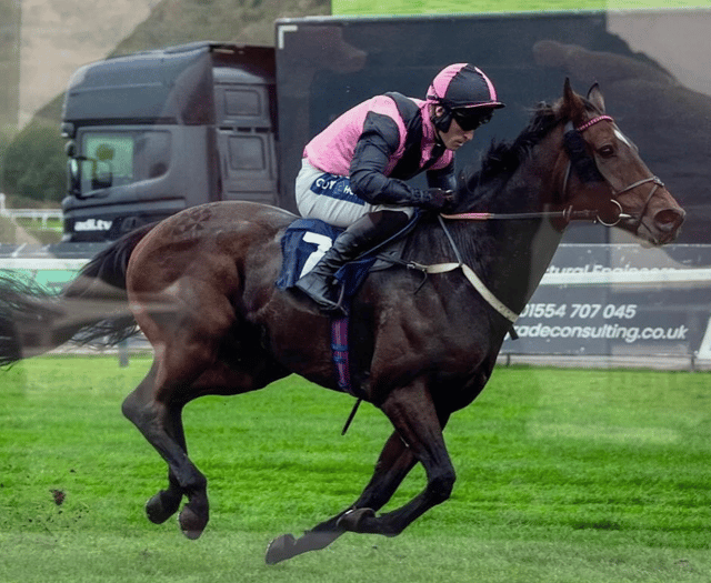 Trainers celebrate five wins