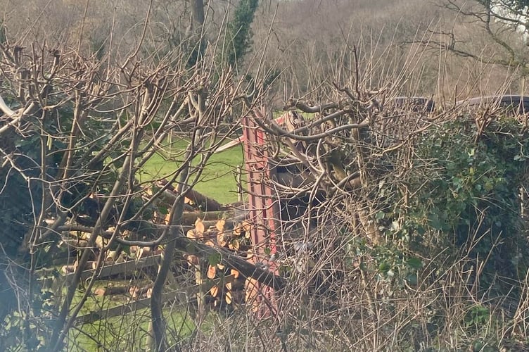 The trailer tipped over shedding its timber load into a private garden on Manson Lane