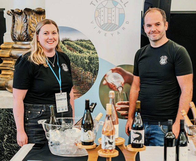 Welsh vineyard's record 2025 harvest