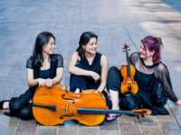 Multi-award-winning piano trio returns to the Wye Valley



