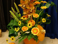 Claire Bond's Eco-Friendly Floral Show