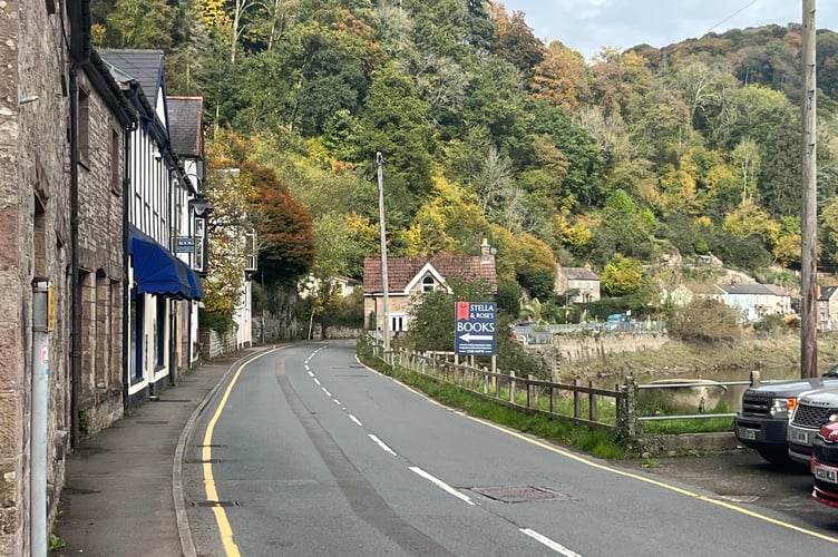 Stella and Roses Tintern