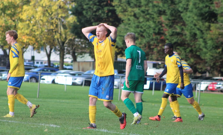 Kingfishers in action