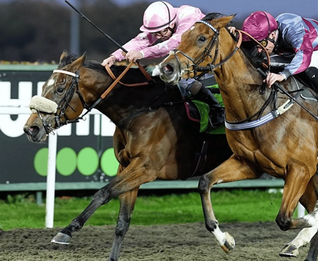 Evans above as King's Code scoops £41k prize