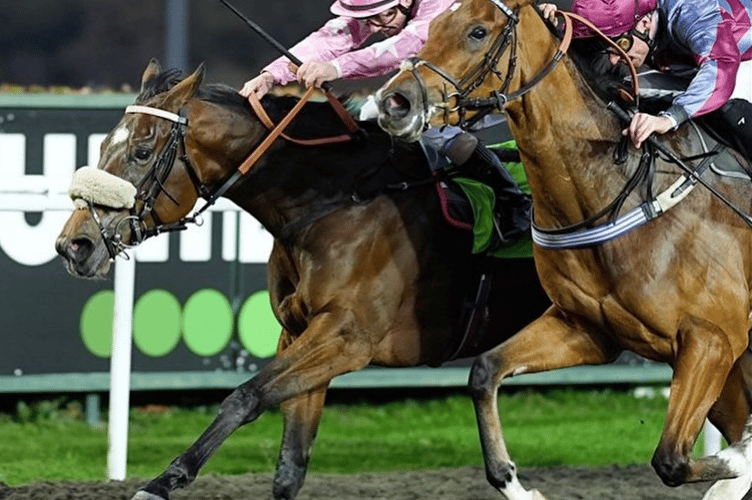 King's Code comes home by a neck to take the £41,000 first prize. Photo: Kempton Racecourse