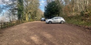 Mobile food vans proposed for Welsh woodlands