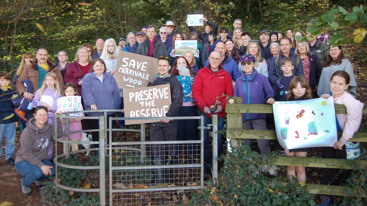 Merrivale Woods crowdfunding scheme fails - but all is not lost ...