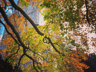 Submit your Monmouth photo for Picture of the Week
