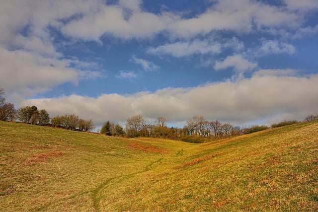 Wildlife trust lifts lid on nature reserve waterless loo plan
