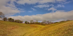 Wildlife trust lifts lid on nature reserve waterless loo plan