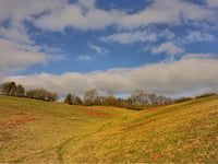 Waterless compost toilet approved at nature reserve