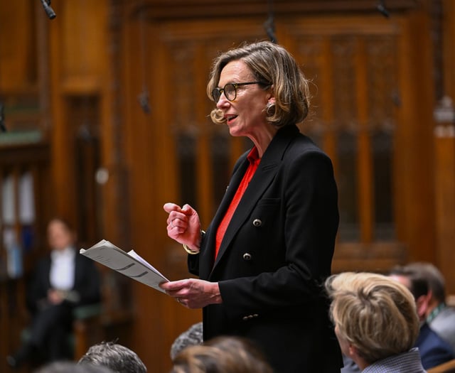 Fookes backs violence strategy