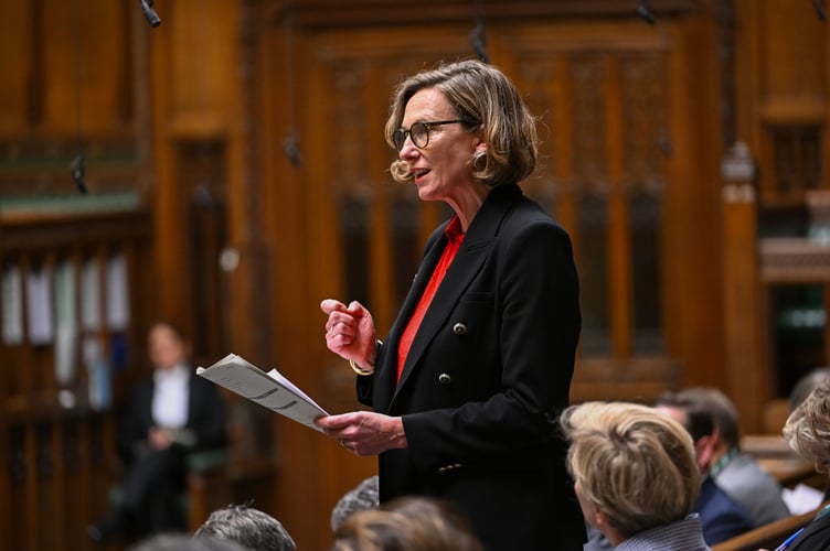 Catherine Fookes MP speaking in Parliament