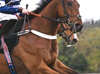 Vincenzo takes second for Sam in Paddy Power Gold Cup