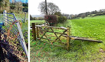 Police combat poaching surge