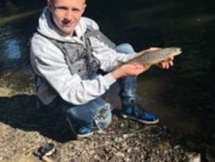 Search on for missing Monmouthshire teenager 