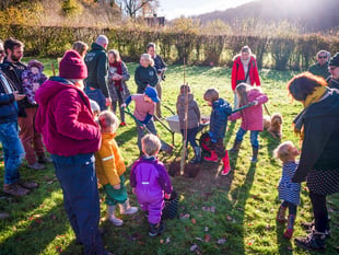 Sycamore Gap sapling planted at Biblins
