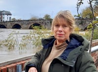 Green MP 'deeply saddened' by party suspension of council group leader