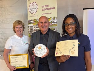 Usk strikes gold at Wales in Bloom 2025

