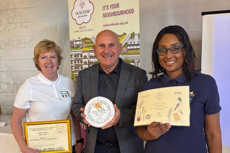 Usk in Bloom winners