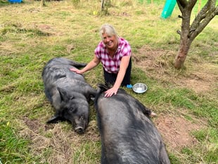Gentle giants find refuge at Pen Y Bryn sanctuary