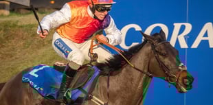 Racecourse seeks support for Centenary Day