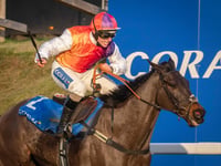 Racecourse seeks support for Centenary Day