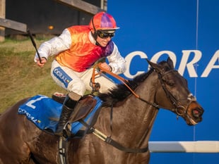 Racecourse seeks support for Centenary Day