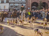 Harriers' Boxing Day Drag Hunt draws thousands of supporters