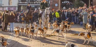 Harriers' Boxing Day Drag Hunt draws thousands of supporters