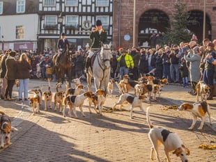 Harriers' Boxing Day Drag Hunt draws thousands of supporters