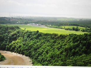 Racecourse seeks council support for Centenary Day