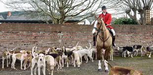 Call for support as huntsman warns 'the fight is real now'