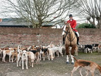Call for support as huntsman warns 'the fight is real now'