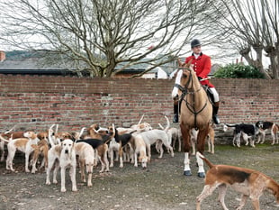 Call for support as huntsman warns 'the fight is real now'