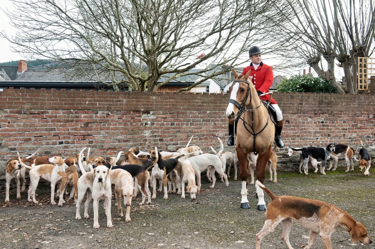 Master Huntsman Charlie Dando with the Monmouthshire hounds