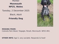 Monmouth residents seek missing German shorthaired pointer 