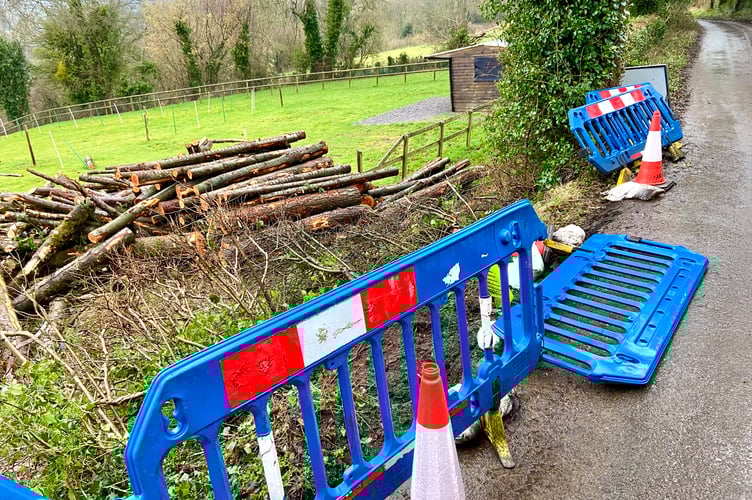 A trailer load of timber tipped over into a roadside garden on Manson Lane