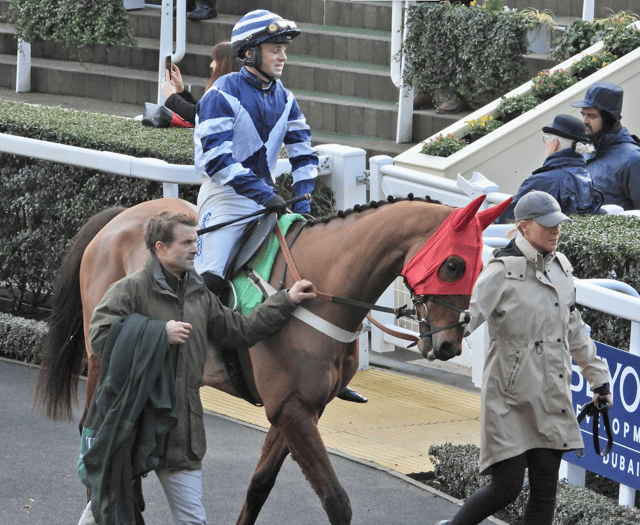 Vincenzo delivers victory for Sam in £100k Ascot showcase