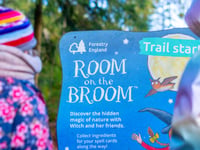 Room on the Broom trail in the Forest of Dean