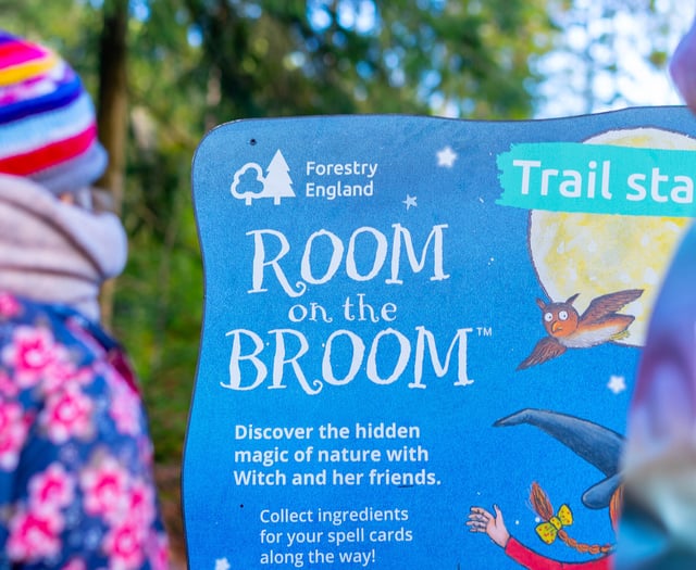 Room on the Broom trail in the Forest of Dean
