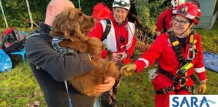 Spaniel sparks rockface rescue after biting off more than he can chew