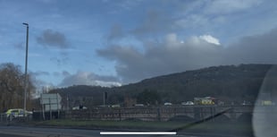 Emergency services praised for saving man in bridge crash