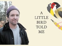 Meet Matt Sewell: The Banksy of the Bird World