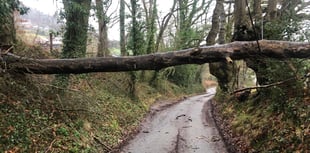 Second fallen tree in a week blocks rural lane on edge of town