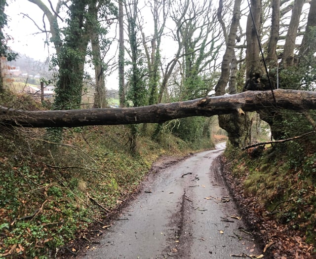 Second fallen tree in a week blocks rural lane on edge of town